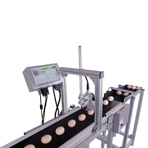MF-T2 Egg Coding and Marking Solution – product photo